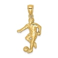 thumbnail image 1 of 14K Yellow Gold Charm Pendant Themed Textured 22 mm 14.3, 1 of 4