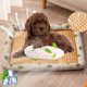 thumbnail image 5 of Dog Cool CoolPad For Dogs Sleeping Mats For Dog Self Cool Pet Blanket Outdoor Indoor Cool Mats, 5 of 9