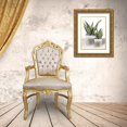 thumbnail image 3 of House Fenway 15x18 Gold Ornate Wood Framed with Double Matting Museum Art Print Titled - Snake Plant II, 3 of 4