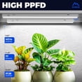 thumbnail image 2 of T5 Grow Lights, 5000K White Full  LED Grow Light, 2ft 80W (8 x 10W) Plant Grow Lights for Indoor Plants, Plug and Play, 8-Pack, 2 of 8