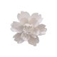 thumbnail image 1 of Kearding Flores de cerámica Flor tridimensional Colgante de pared Hogar Pastoral Artesanía TV Oficina Arte Adornos Mural de fondo Decoración del hogar Blanco Medio Kearding HA076966-08, 1 of 6