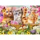 thumbnail image 1 of 30x40cm 5D Pintura de diamante de bricolaje completa, Punto de cruz de Animal Cat Dog, Pintura de punto de cruz de lienzo de diamantes de imitación de diamante de bricolaje por número para decoración de pared Adultos niños ER, 1 of 5