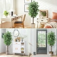 thumbnail image 3 of Accreate Artificial Ficus Tree,Tall Fake Ficus Silk Tree with Natural Wood Trunk in Plastic Nursery Pot for Indoor Outdoor House Living Room Office Garden Decor, 3 of 7