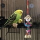 thumbnail image 4 of Juguete para pájaros, pájaro loro, pájaro colgante colorido, juguete para masticar, juguete colgante para pájaros, máxima confiabilidad, 4 of 9
