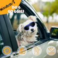 thumbnail image 3 of Gafas para Perros Mitubati para Razas Pequeñas con Protección UV, 3 of 6