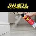 thumbnail image 3 of Raid Defend Ant and Roach Killer, Outdoor Bug Spray, Outdoor Fresh Scent Value Pack, 20 oz, 2 Count, 3 of 12