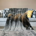 thumbnail image 2 of BCIIG Bison Snow Wildlife Warm Lightweight Blanket Soft Fleece Blankets Throw Blanket for All Seasons Decor Cow Gifts All Seasons Gifts 60x80in, 2 of 6