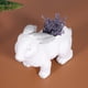 thumbnail image 3 of Maceta gris para cactus y suculentas con encanto único para jardín, maceta con personalidad en forma de conejo, 3 of 8