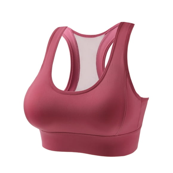 Lace Nursing Bra Women Padded Bra Feature V-Neck Sport Bra Style W-285 Pinks-a L