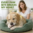 thumbnail image 3 of Yeast Infection Treatment for Dogs, 120 Softchews, 3 of 9