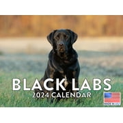 Black Lab Dog Breed 2024 Wall Calendar