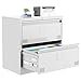thumbnail image 2 of Lateral File Cabinet with Lock, 2 Drawer Metal File Cabinets for Home Office Hanging Letter/Legal/F4/A4, Metal Horizontal File Cabinet with Card Slot for Easy Organization(White), 2 of 4