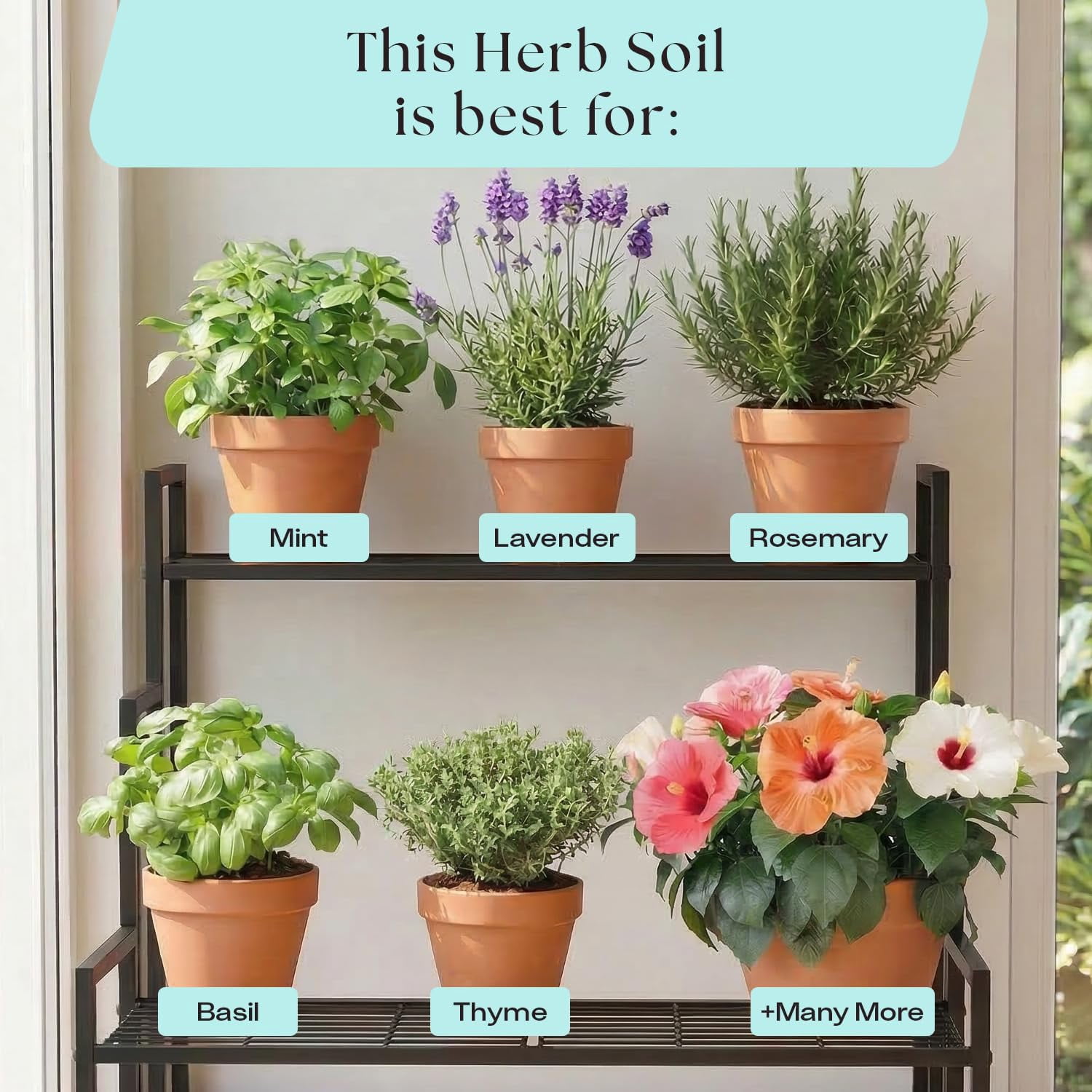 Rosy Soil Herb Potting Soil Mix for Indoor Herb Garden, Organic Peat Free Soil with Biochar for Strong Growth & Flavor, Well Draining Potting Mix, 4 qt