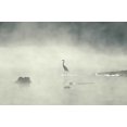 thumbnail image 1 of Guernsey Mist I Glossy Poster, 1 of 2