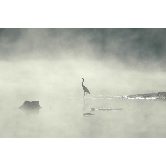Guernsey Mist I Glossy Poster