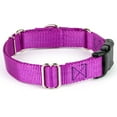 thumbnail image 5 of Country Brook Petz® Heavy Duty Nylon Martingale Dog Collar with Deluxe Buckle for Adjustable Small Medium Large Breeds - 30+ Vibrant Color Options (1 Inch, Medium, Bright Purple), 5 of 7