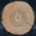 thumbnail image 2 of Pellisier, Sandrine 12x12 Gold Ornate Wood Framed with Double Matting Museum Art Print Titled - Tree Lines, 2 of 4