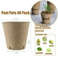 thumbnail image 6 of Fabulas 40 Pack Peat Pots for Seedlings, 3.15 inch Biodegradable Seed Starter Planting Pots for Seedlings, 6 of 6