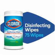 2X - Clorox Fresh Scent Disinfecting Wipes