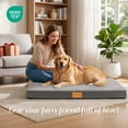 thumbnail image 4 of Exclusivo Mezcla Large Dog Bed with Removable and Washable Cover 48"x30", Orthopedic Pet Bed for Crates, Non-Slip Bottom and Waterproof Liner, Grey, 4 of 10