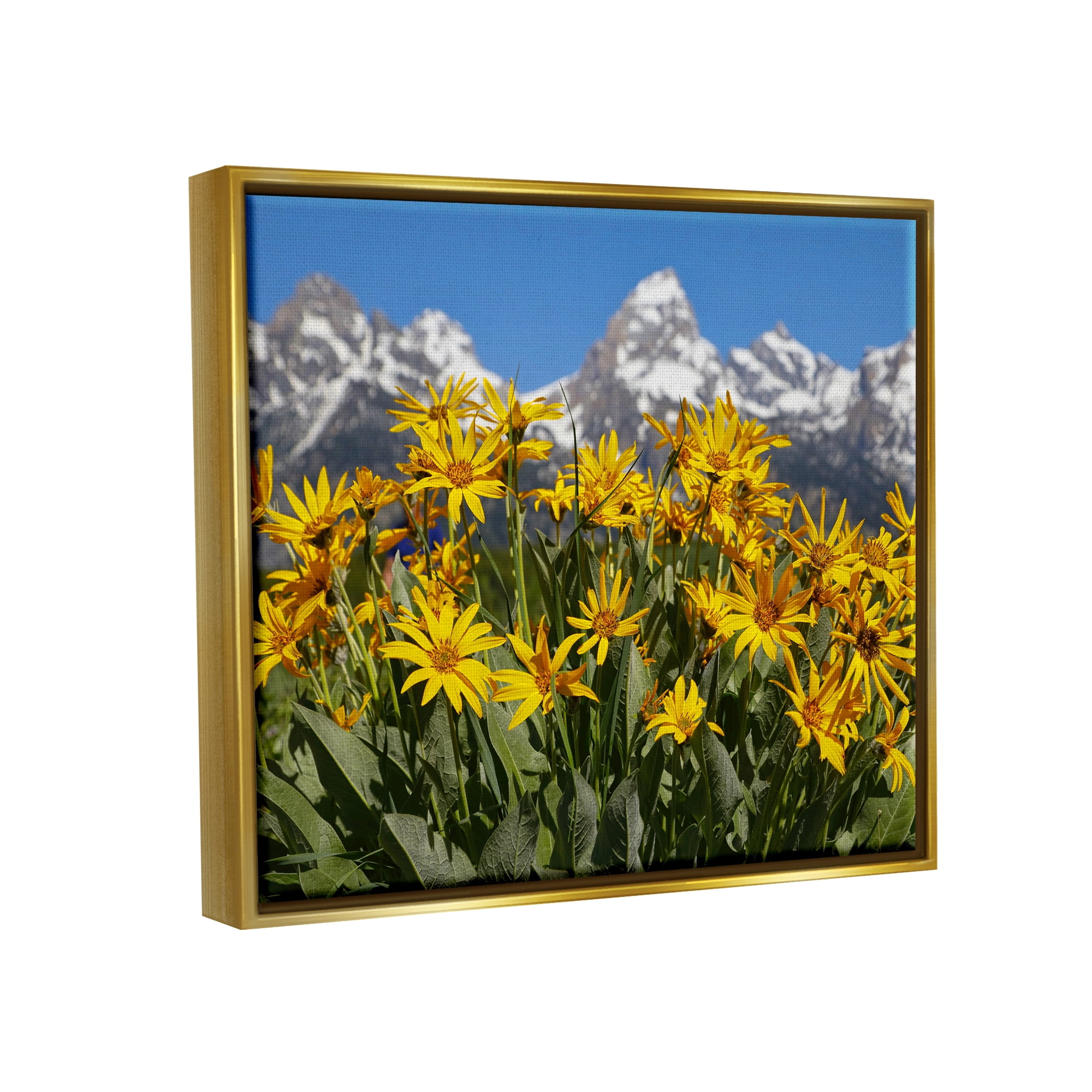 Stupell Industries Daisy Meadow & Mountains Landscape Photography Gold Floater Framed Canvas Art Print Wall Art, 21 x 17