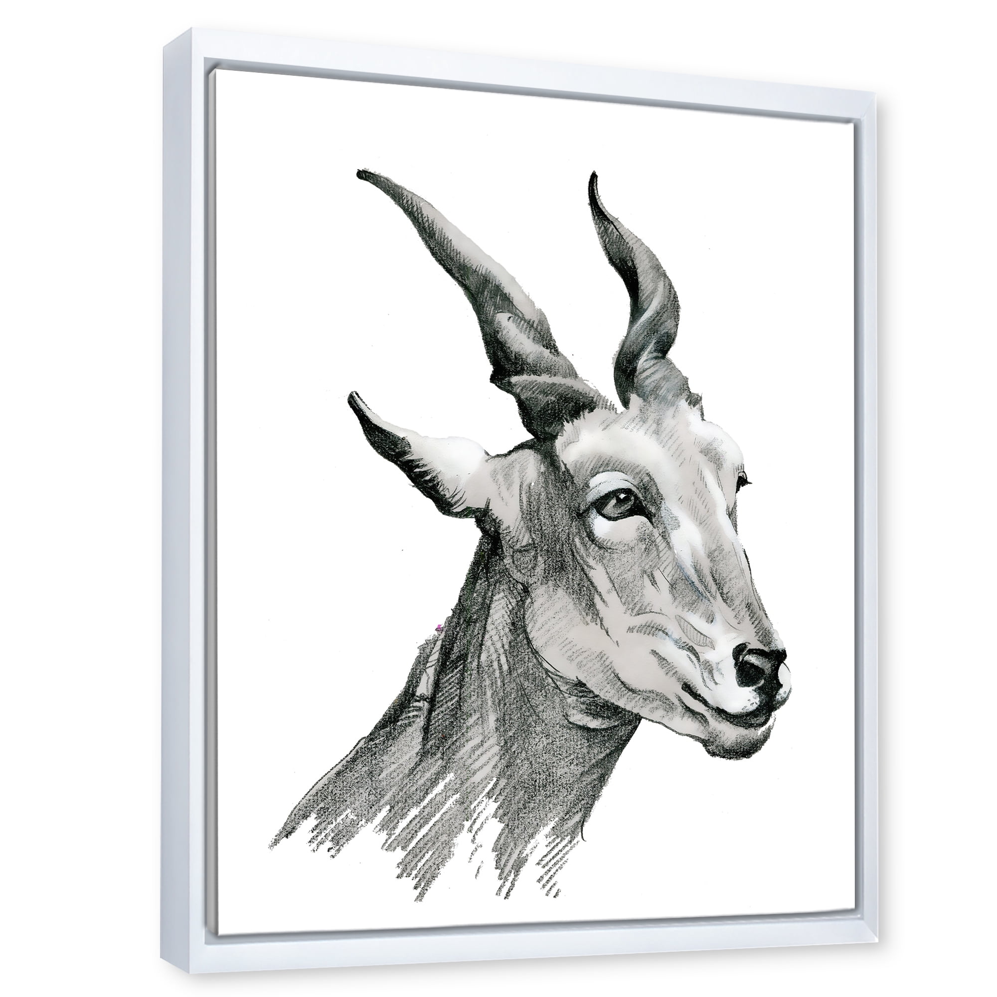 Designart 'Black and White Portrait Of Goat I' Farmhouse Framed Canvas Wall Art Print