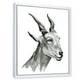 thumbnail image 3 of Designart 'Black and White Portrait Of Goat I' Farmhouse Framed Canvas Wall Art Print, 3 of 5
