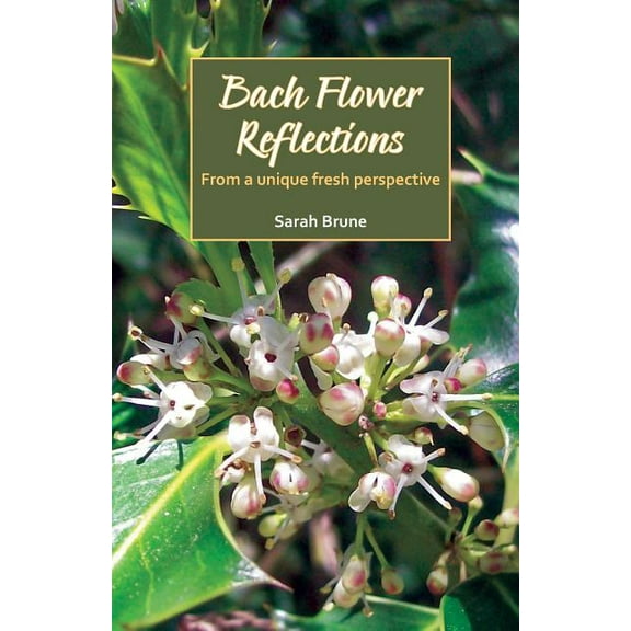 Bach Flower Reflections: From a unique fresh perspective (Paperback)