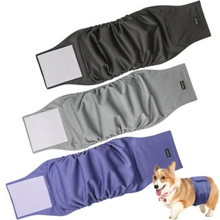Do Belly Bands For Male Dogs Work
