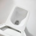 thumbnail image 4 of SERA Ibiza Toilet, 4 of 10