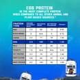 thumbnail image 6 of Gaspari Nutrition Proven Egg, 100% Egg White Protein, 25g Protein, Keto Friendly, Dairy and Lactose Free, Soy Free (2 lbs, Coconut Custard), 6 of 11