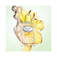 thumbnail image 2 of Perfume Prada Milano Infusion de jengibre, 100 ml, 2 of 2