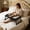Black, variant on Foldable Bedside Breakfast Tray with Folding Legs & Handles, Sturdy Wooden Multifunctional Snack Table, Portable Lap Desk for Sofa Dining Movie Watching Laptop Work Home Office Use