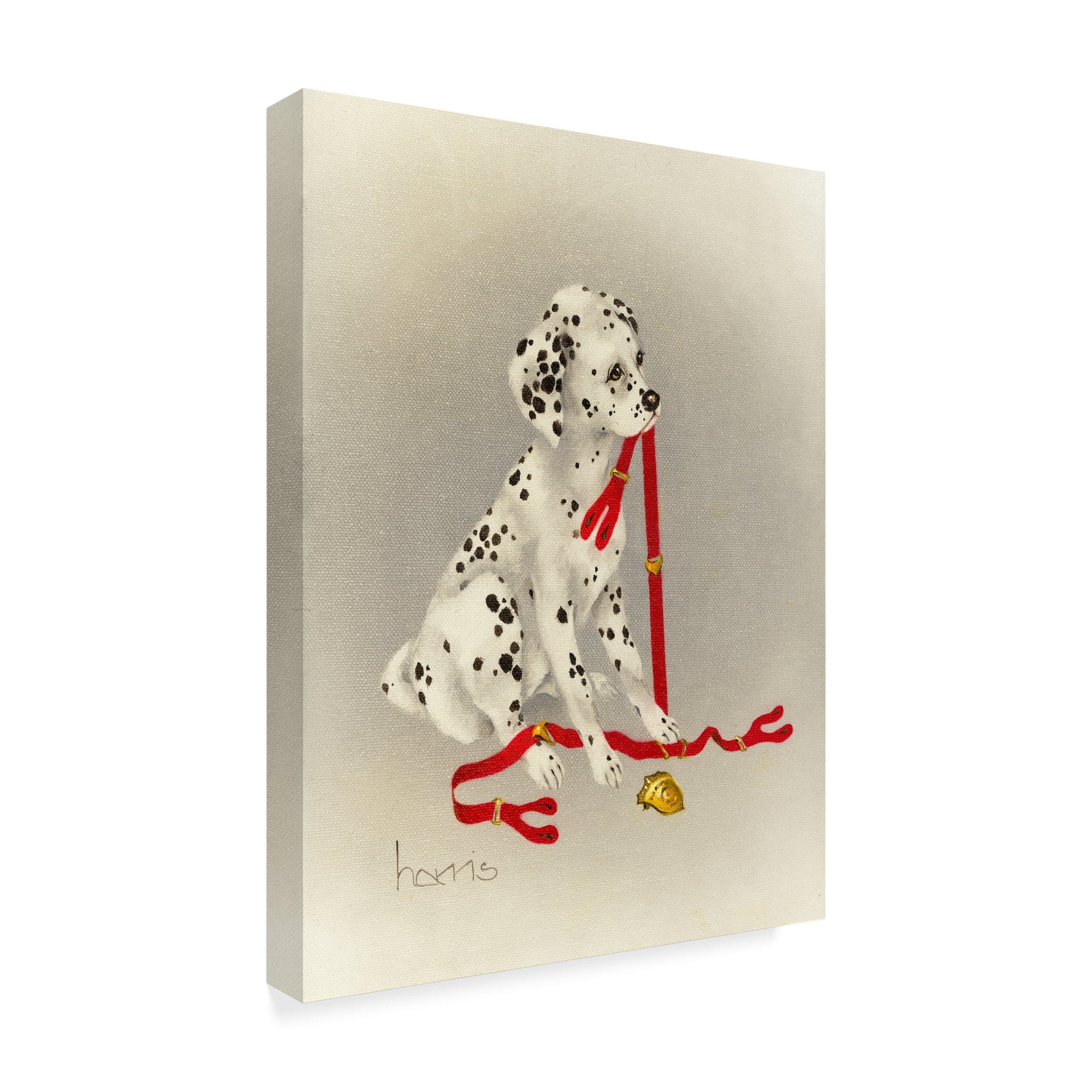Trademark Fine Art 'Dalmatian Hot Diggity Dog' Canvas Art by Peggy Harris