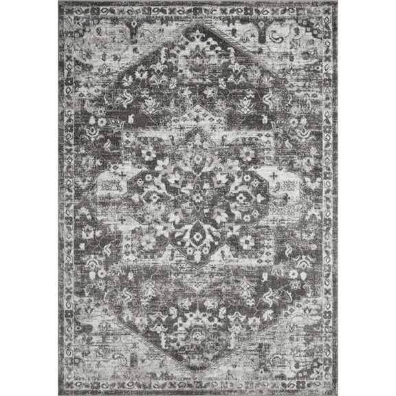 Loomaknoti Rhane Alemern 6' x 9' Gray Oriental Indoor Area Rug