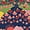 Mountain Meadow, variant on Women's Plus Size 3-Piece Seamless Wireless Bra, Brief and Boyshort Set, Obsidian Floral, 3XL