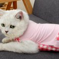 thumbnail image 4 of Plaid Cat Recovery Shirt Breathable Kitten Recovery Clothes Cat Recovery Suit, 4 of 10