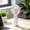 White-WH, variant on MMJ Portable Fan Handheld Mini USB Rechargeable 3 Speed Desk Fan Personal Cooling 5.91in Yellow