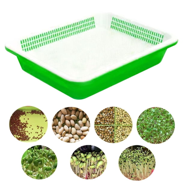Bandeja para germinación de semillas perfecl herramienta de jardinería contenedor para microvegetales