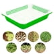 thumbnail image 1 of Bandeja para germinación de semillas perfecl herramienta de jardinería contenedor para microvegetales, 1 of 8