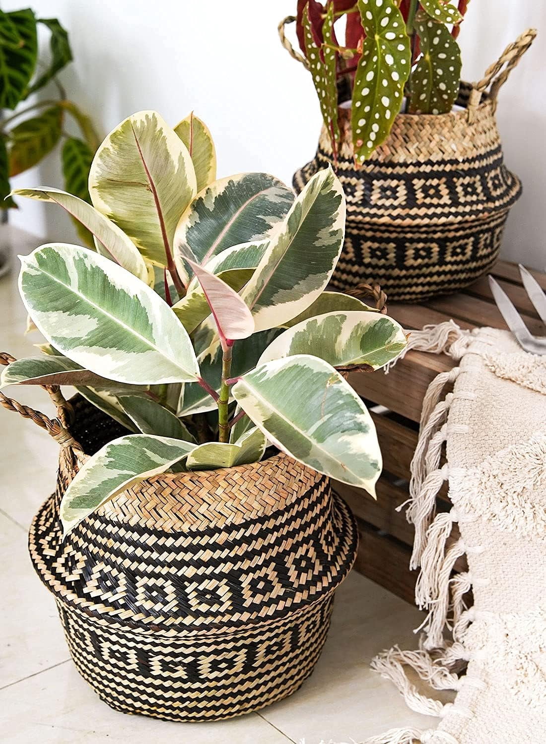 LE TAUCI Plant Basket, S+M+L Black Flower Woven Seagrass Belly Planter Baskets, Set of 3