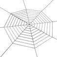 thumbnail image 2 of Telaraña de telarañas para decoración de y exterior de Halloween - Negro 9 Soledad Halloween Spider Wed, 2 of 7