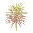 thumbnail image 1 of Toystoory Planta de pino Artificial, simulación de vegetación, decoración de plantas de adorno para el hogar y la Oficina Plantas Artificiales rojo, 1 of 6