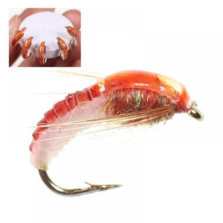 Dragonus Fly Fishing Flies Midge Assortment for Trout and Other Freshwater Fish - Set of 6 Fishing Flies, Size: 6pcs, Red