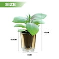 thumbnail image 2 of uds simulación suculenta bonsái lavabo de vidrio decoración creativa del hogar planta verde artificial plantas en macetas, 2 of 5