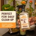 thumbnail image 3 of (2 pack) Aunt Fannie's Granite and Stone Spray Cleaner, 16.9 oz, 3 of 7