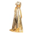 thumbnail image 1 of Disfraz de Halloween Unisex Cosplay Capa larga con capucha Capa de mago Rendimiento Bata de fiesta de disfraces sidaley JJ25604-05, 1 of 4
