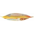 thumbnail image 7 of Tasty Bite Entree - Indian Cuisine - Mushroom Masala - 10 oz - case of 6, 7 of 7