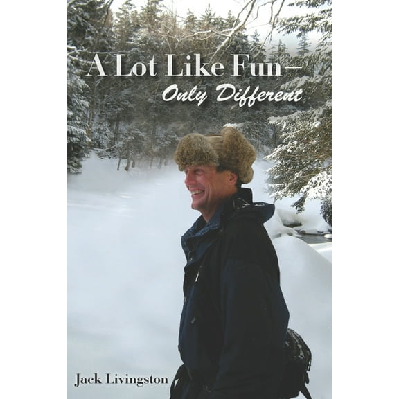 A Lot Like Fun - Only Different