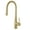 Gold, variant on Franke Stl-Pr Steel 1.75 GPM Single Hole Pull Down Kitchen Faucet - Stainless Steel
